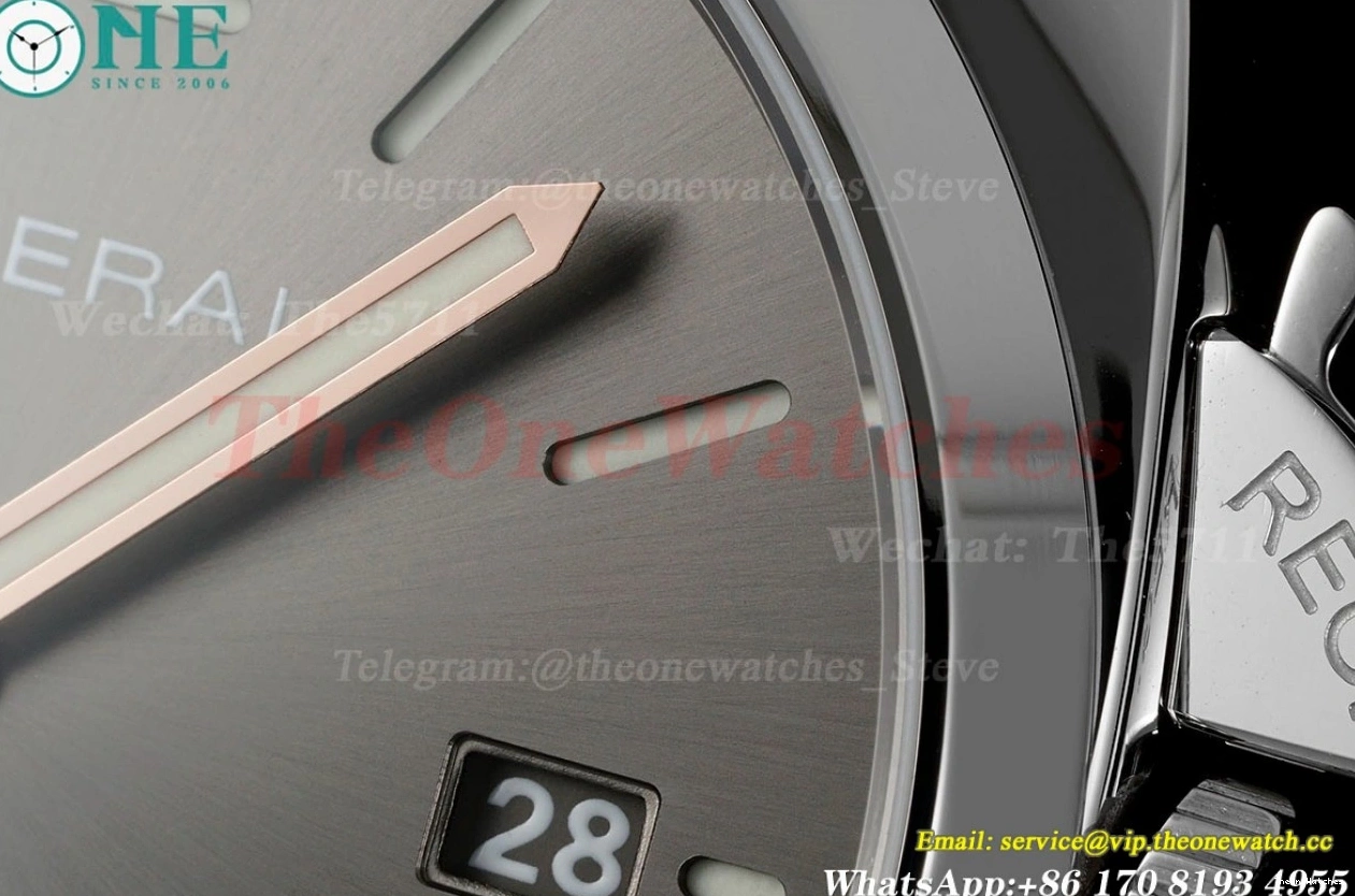 LE SS VSF Due Grey Luminor PAM1250 42mm P900 Dial 0104